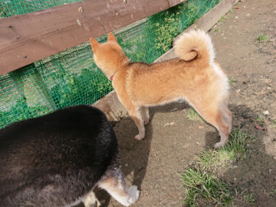 f:id:roukenhome-ann:20190225135926j:plain
