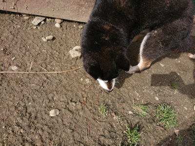 f:id:roukenhome-ann:20190225135945j:plain