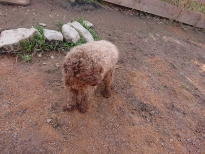 f:id:roukenhome-ann:20190225135956j:plain