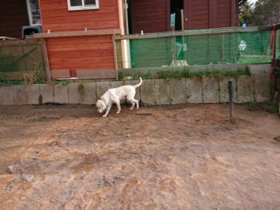 f:id:roukenhome-ann:20190226053629j:plain