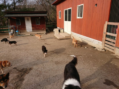 f:id:roukenhome-ann:20190226053755j:plain
