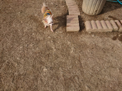 f:id:roukenhome-ann:20190226053801j:plain