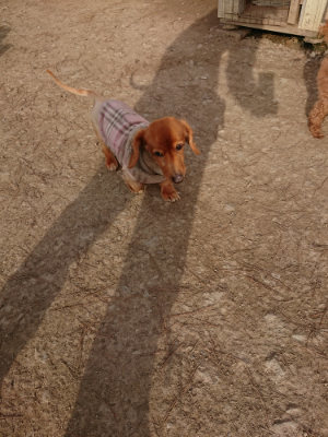 f:id:roukenhome-ann:20190226053848j:plain