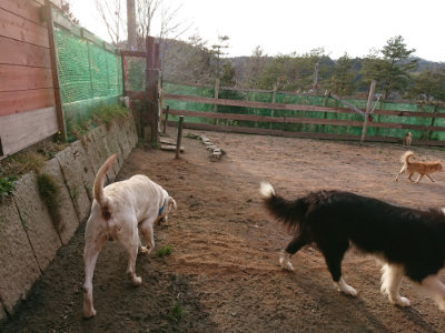 f:id:roukenhome-ann:20190226053906j:plain