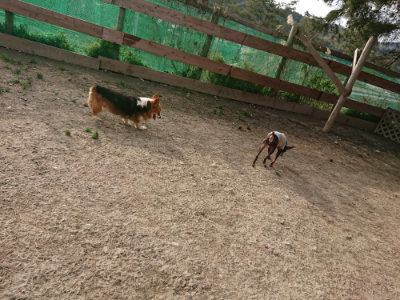 f:id:roukenhome-ann:20190226054030j:plain