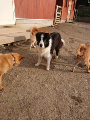 f:id:roukenhome-ann:20190226054128j:plain