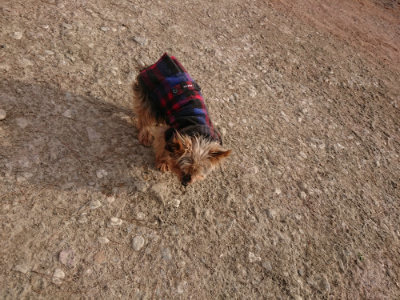 f:id:roukenhome-ann:20190226054139j:plain