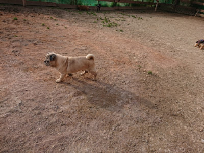 f:id:roukenhome-ann:20190226063820j:plain