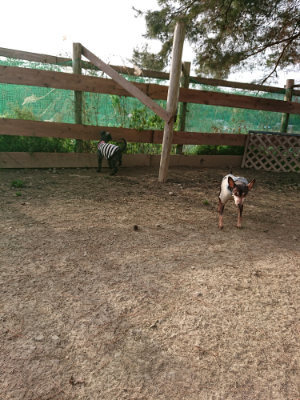 f:id:roukenhome-ann:20190226063845j:plain