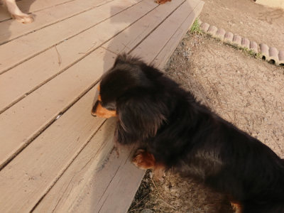f:id:roukenhome-ann:20190226063923j:plain