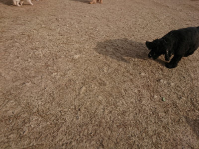 f:id:roukenhome-ann:20190226063940j:plain