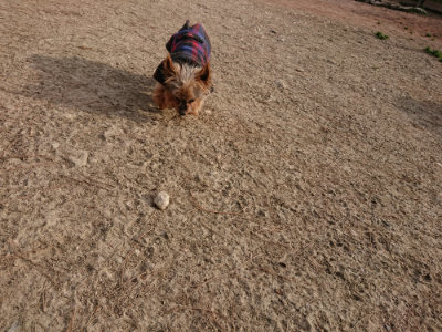 f:id:roukenhome-ann:20190226064004j:plain