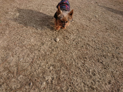 f:id:roukenhome-ann:20190226064011j:plain