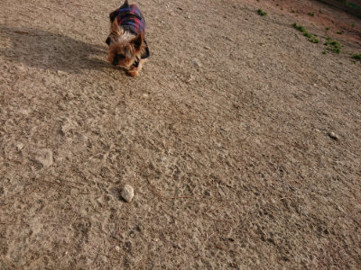 f:id:roukenhome-ann:20190226064032j:plain