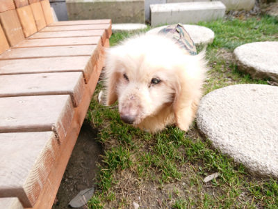f:id:roukenhome-ann:20190226064107j:plain