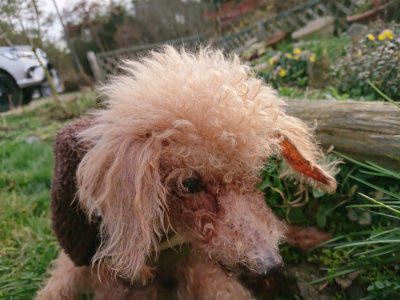 f:id:roukenhome-ann:20190226064258j:plain