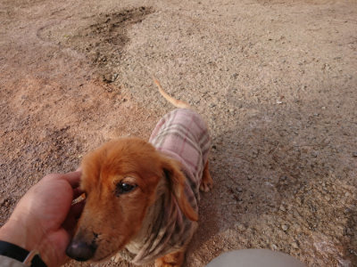 f:id:roukenhome-ann:20190226064344j:plain