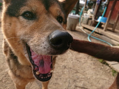 f:id:roukenhome-ann:20190226064449j:plain