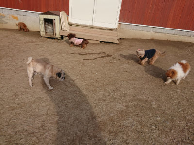 f:id:roukenhome-ann:20190226064500j:plain