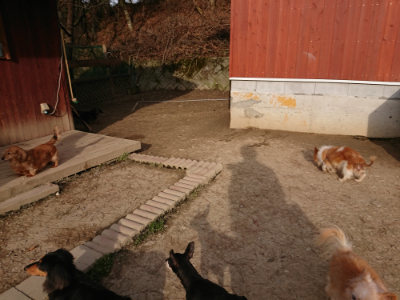 f:id:roukenhome-ann:20190226064506j:plain