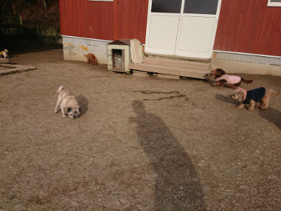 f:id:roukenhome-ann:20190226064518j:plain