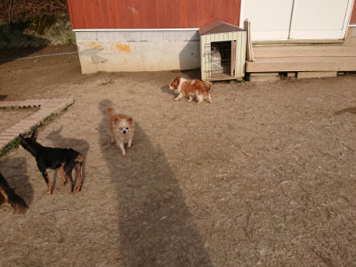 f:id:roukenhome-ann:20190226064540j:plain