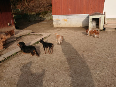 f:id:roukenhome-ann:20190226064604j:plain