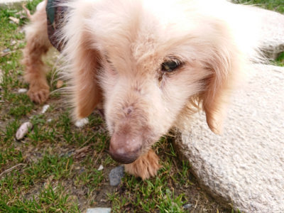 f:id:roukenhome-ann:20190226071507j:plain