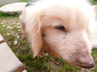 f:id:roukenhome-ann:20190226071525j:plain