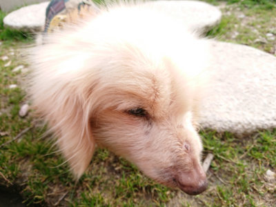 f:id:roukenhome-ann:20190226071530j:plain
