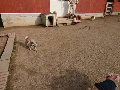 f:id:roukenhome-ann:20190226071733j:plain