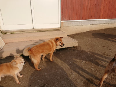 f:id:roukenhome-ann:20190226071738j:plain