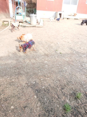 f:id:roukenhome-ann:20190226071829j:plain