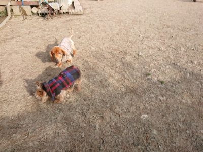 f:id:roukenhome-ann:20190226071834j:plain
