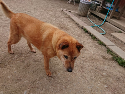 f:id:roukenhome-ann:20190227192551j:plain f:id:roukenhome-ann:20190227192551j:plain