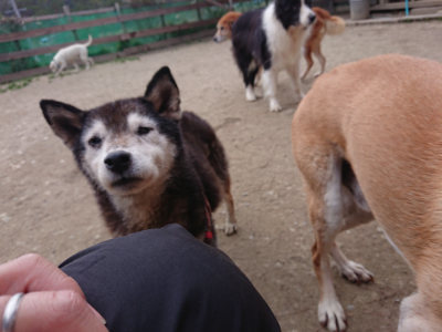 f:id:roukenhome-ann:20190227192636j:plain f:id:roukenhome-ann:20190227192636j:plain