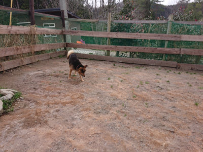 f:id:roukenhome-ann:20190227192744j:plain f:id:roukenhome-ann:20190227192744j:plain