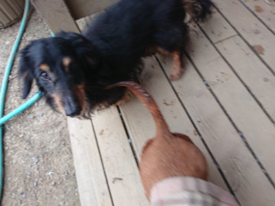 f:id:roukenhome-ann:20190227192759j:plain f:id:roukenhome-ann:20190227192759j:plain