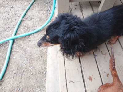 f:id:roukenhome-ann:20190227192806j:plain f:id:roukenhome-ann:20190227192806j:plain