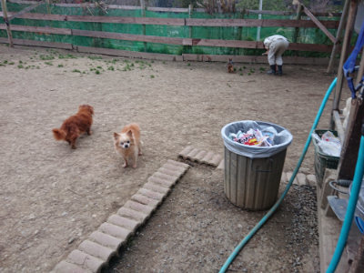 f:id:roukenhome-ann:20190227192825j:plain f:id:roukenhome-ann:20190227192825j:plain