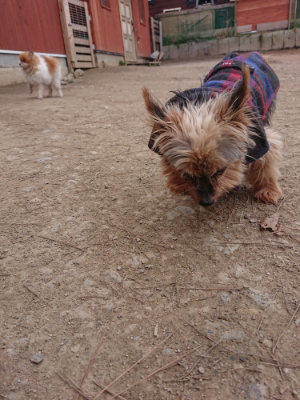 f:id:roukenhome-ann:20190227192952j:plain f:id:roukenhome-ann:20190227192952j:plain