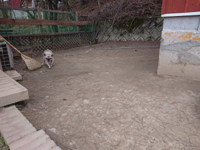 f:id:roukenhome-ann:20190227193038j:plain f:id:roukenhome-ann:20190227193038j:plain