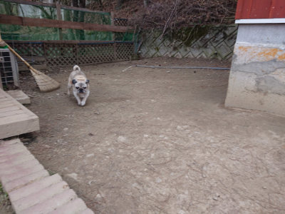 f:id:roukenhome-ann:20190227193045j:plain f:id:roukenhome-ann:20190227193045j:plain