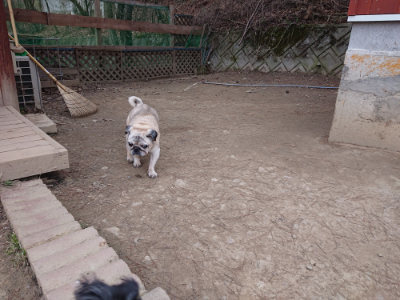 f:id:roukenhome-ann:20190227193050j:plain f:id:roukenhome-ann:20190227193050j:plain