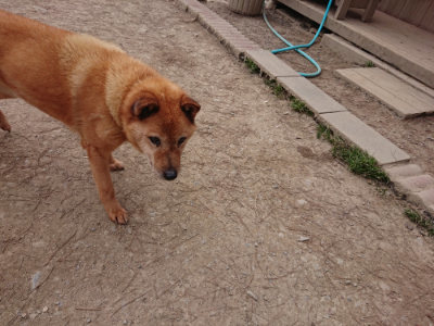 f:id:roukenhome-ann:20190227193357j:plain f:id:roukenhome-ann:20190227193357j:plain