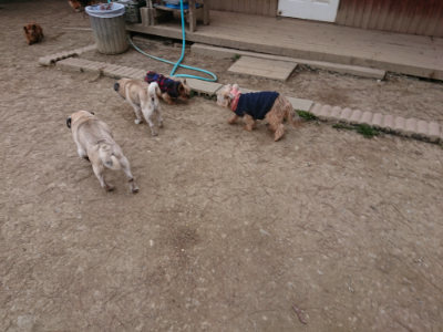 f:id:roukenhome-ann:20190227193412j:plain f:id:roukenhome-ann:20190227193412j:plain