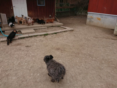 f:id:roukenhome-ann:20190227193418j:plain f:id:roukenhome-ann:20190227193418j:plain