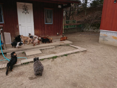 f:id:roukenhome-ann:20190227193425j:plain f:id:roukenhome-ann:20190227193425j:plain