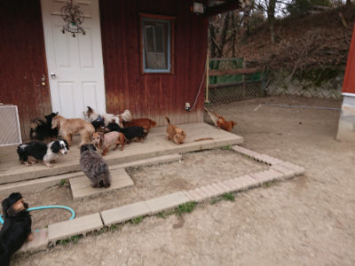 f:id:roukenhome-ann:20190227193431j:plain f:id:roukenhome-ann:20190227193431j:plain