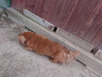 f:id:roukenhome-ann:20190227193449j:plain f:id:roukenhome-ann:20190227193449j:plain